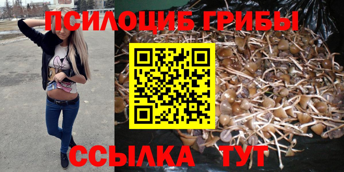 Кисловодск  Галлюциногенные грибы мицелий  Вход с VPN 